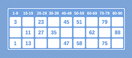 Example of a 90-ball ticket